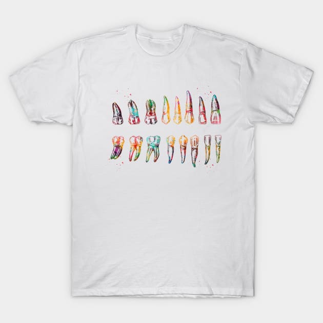 Teeth Diagram T-Shirt by erzebeth